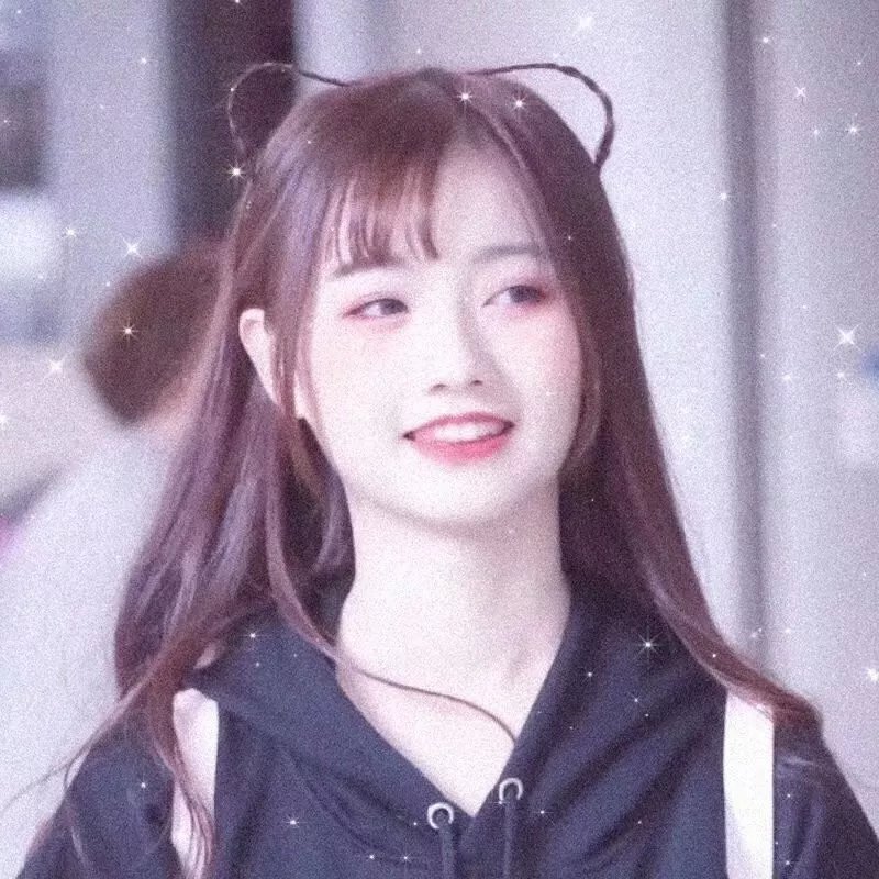 蜘蛛与郁金香